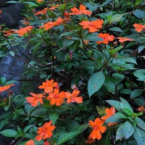 Meet your Posher, Gabby